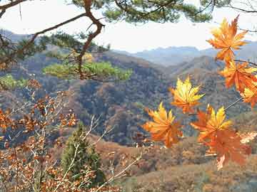 医药板块午后逆势拉升，鲁抗医药涨停|界面新闻 · 快讯